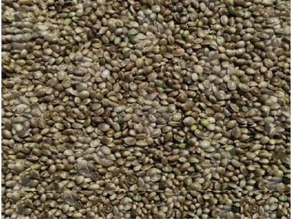 Semenec (konope) 1kg